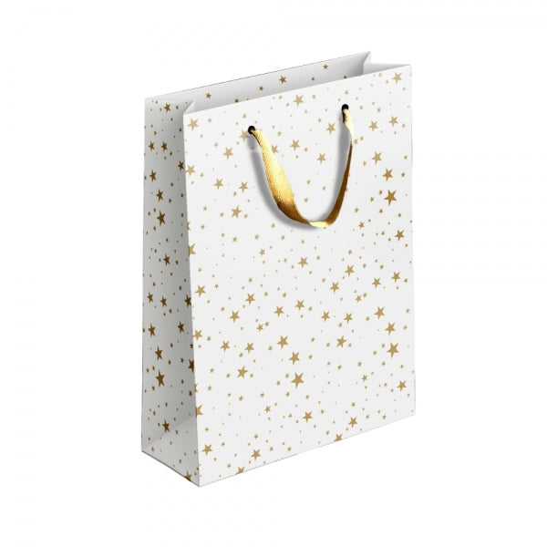 Gold / Silver Patterned Paper Gift Bag Medium Assorted Designs P1910 (Parcel Rate)