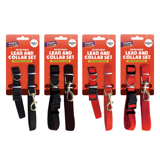 Small / Medium Dog Lead and Collar Assorted Colours and Sizes 313599 (Parcel Rate)